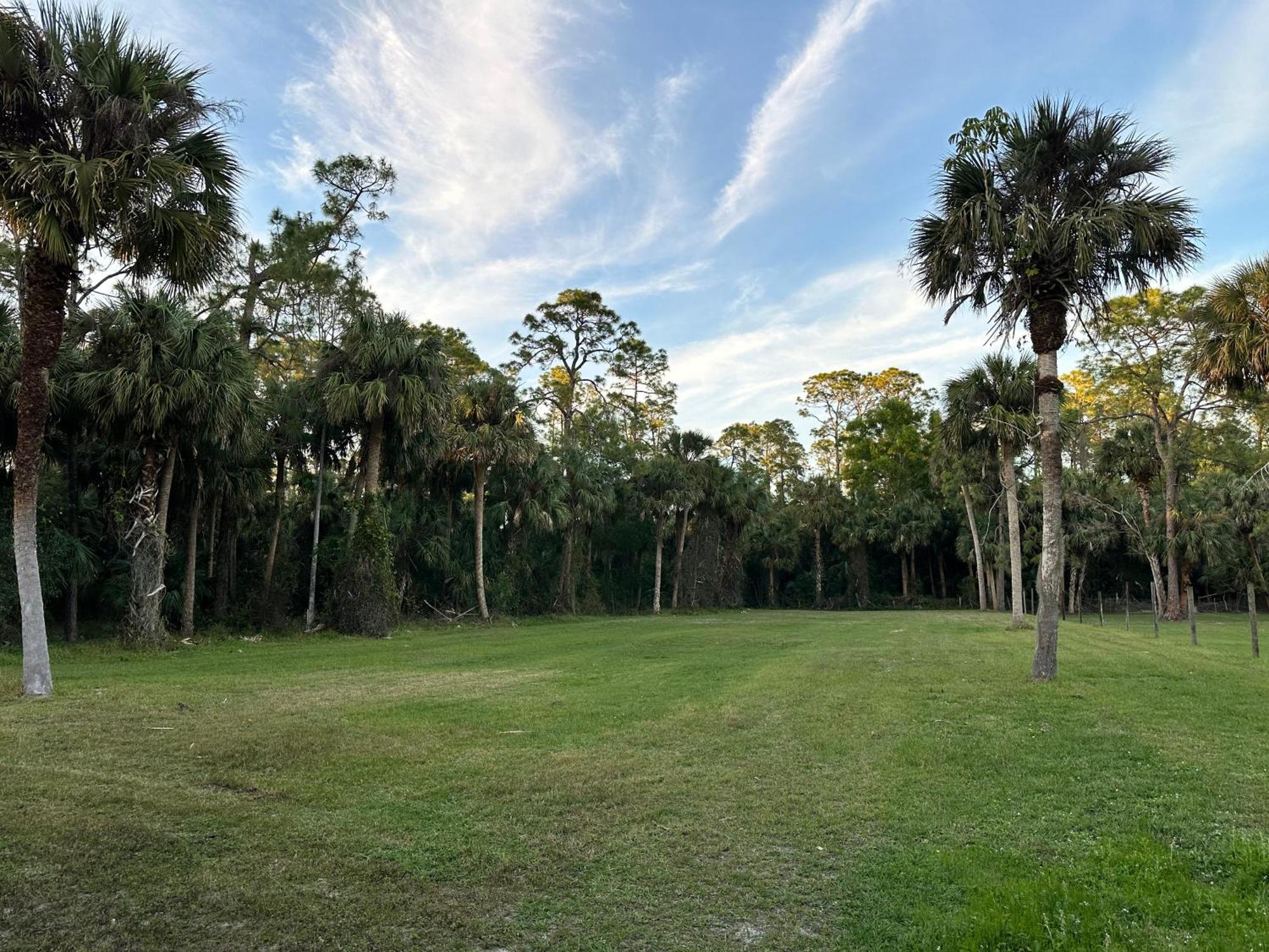 North Naples Vacation Pool Home In The Woods. מראה חיצוני תמונה